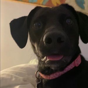 Meet your Posher, Yura